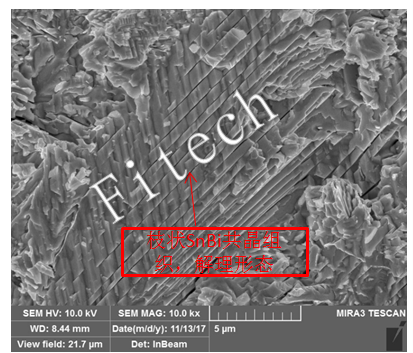 The SEM Image of Bismuth Enrichment at The Interface of Low-Temperature Lead-Free Tin-Bismuth Solder Paste