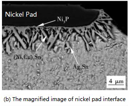 The Magnified Image of Nickel Pad Interface