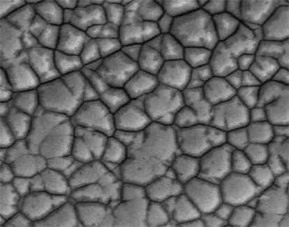 The SEM Image of Nickel Layer