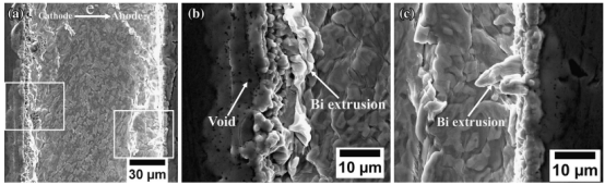 The SEM images of SnBi58 solder paste after 260 hours with current density of 2x103A/cm2 (a) canode，(b) anode